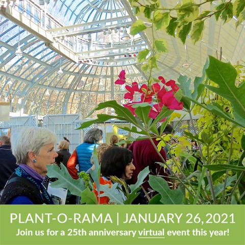 1月26日Plant-O-Ramaオンラインシンポジウム開催